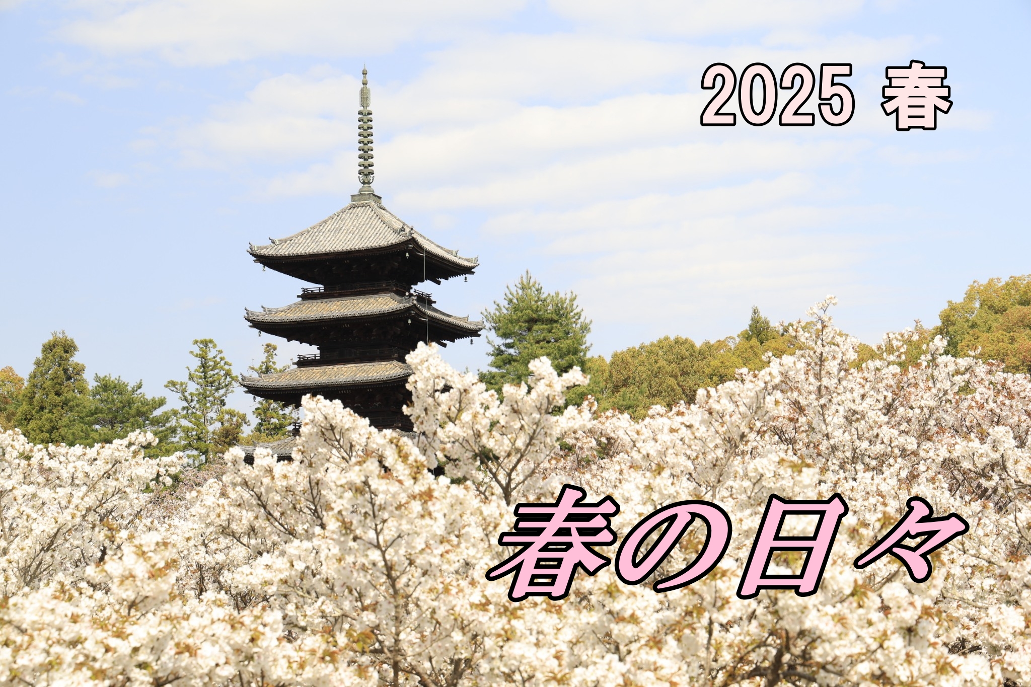 2025春のテーマ「春の日々」スライド動画が完成しました! イメージ画像