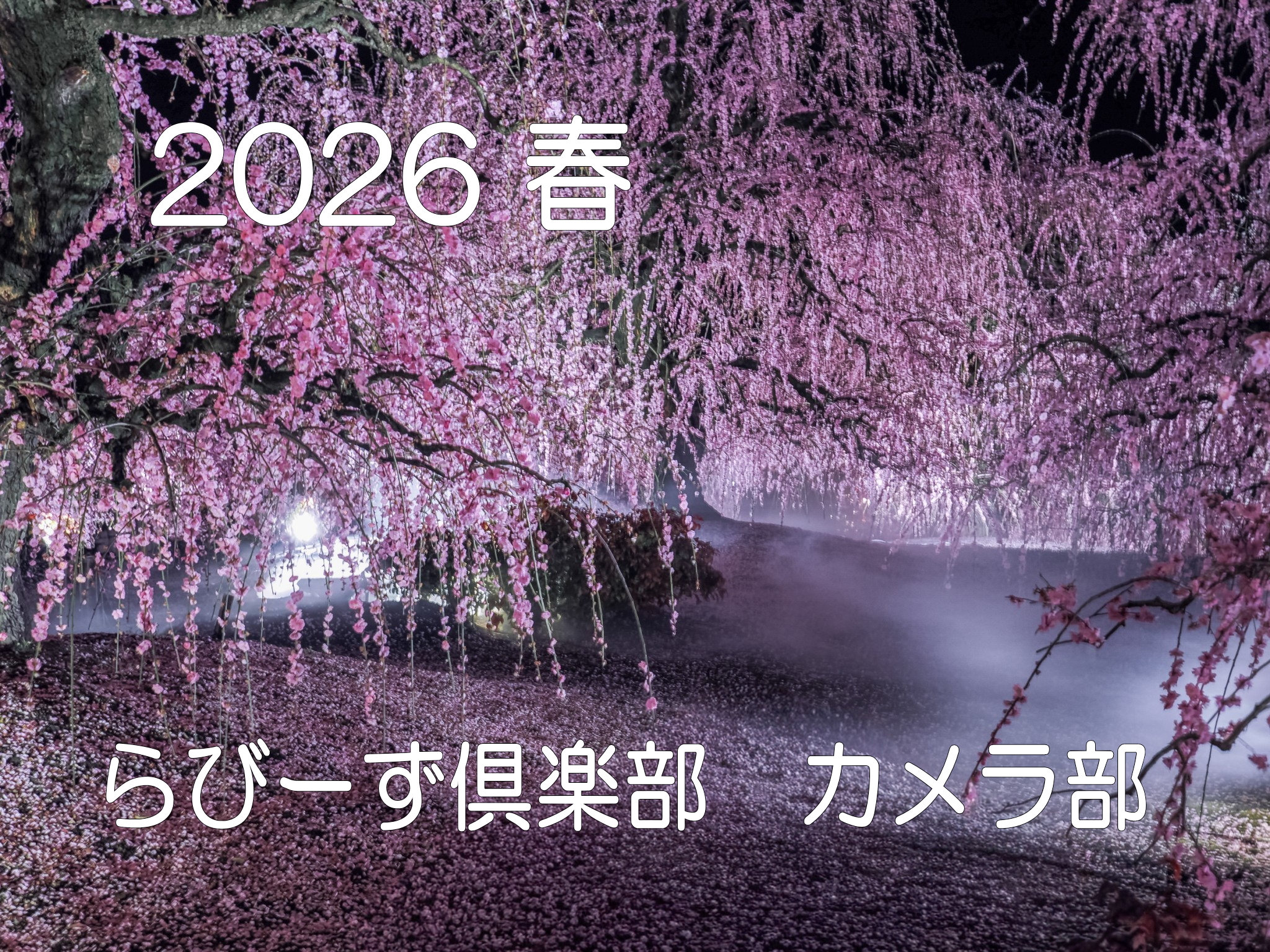 【2026春】写真作品が揃いました！ イメージ画像