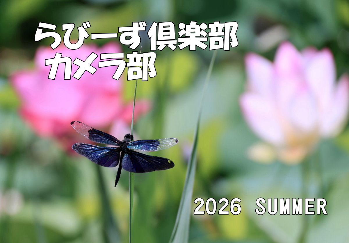 2026夏　投稿写真が揃いました！ イメージ画像
